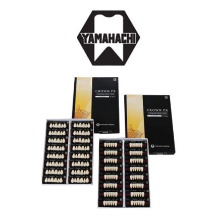 Yamahachi Crown PX Anterior Artificial Teeth