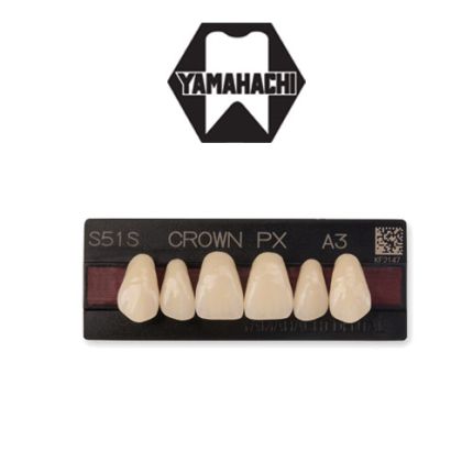 Yamahachi Crown PX Anterior Artificial Teeth