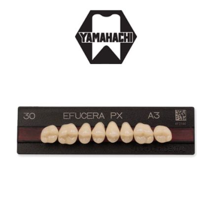 Yamahachi Efucera PX Posterior Artificial Teeth