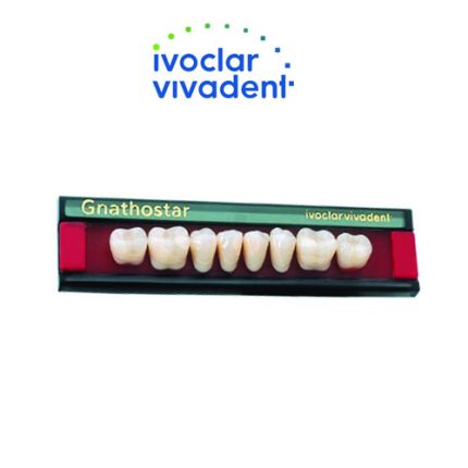Ivoclar Gnathostar Resin Teeth