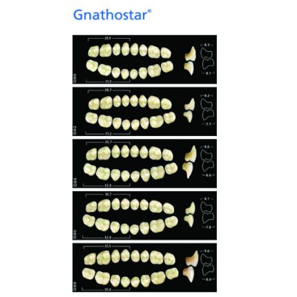 Ivoclar Gnathostar Resin Teeth