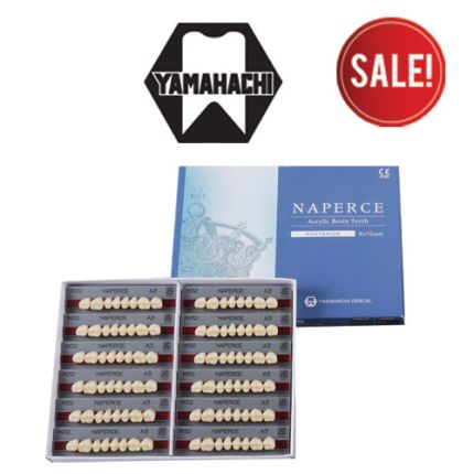 Yamahachi Naperce Posterior Artificial Teeth