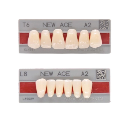 Yamahachi New Ace Anterior Artificial Teeth