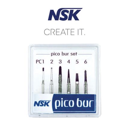 NSK Pico Bur Set 