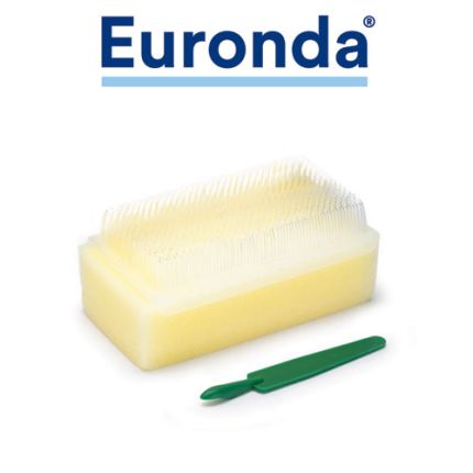 Euronda Dry Surgical Scrub Brush 